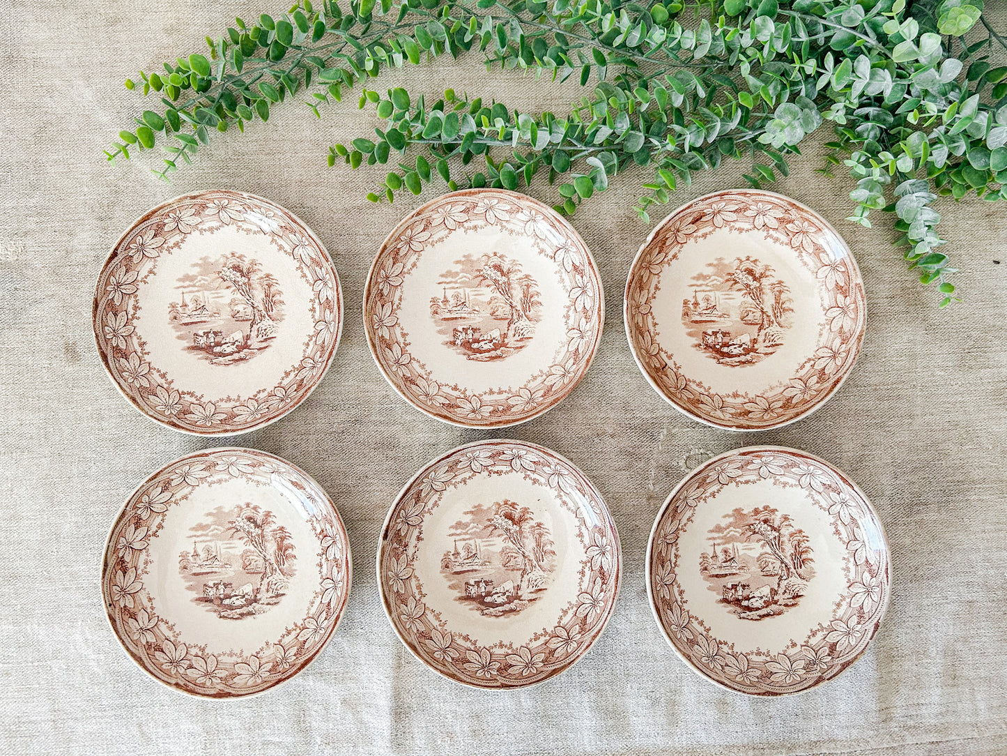 Set of 6 Antique Ironstone 7” Bowls - Chestnut by F & Co