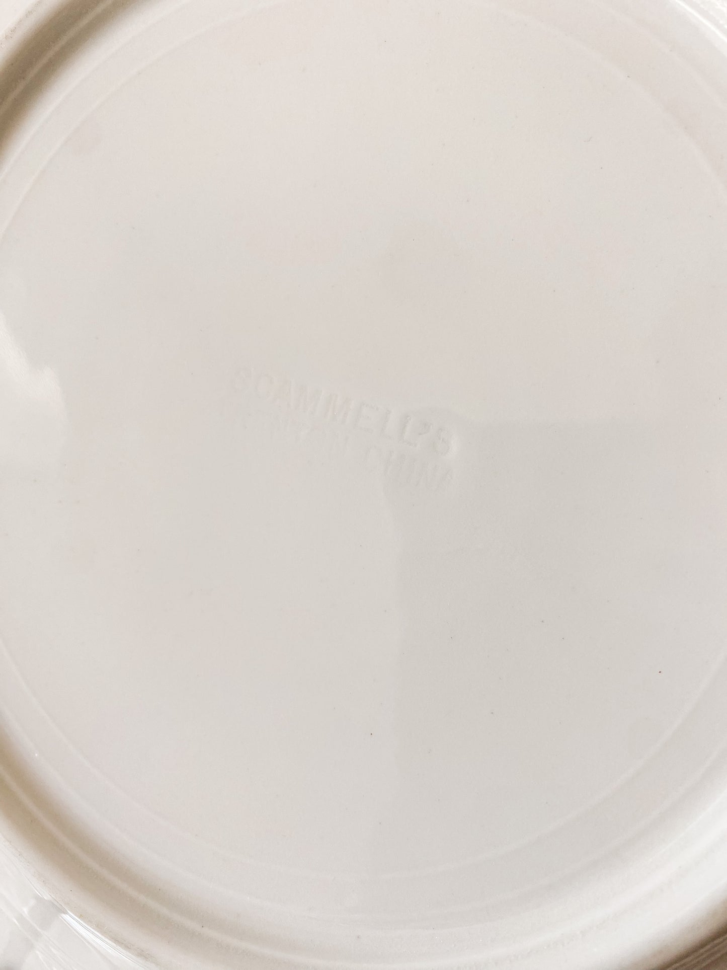 Vintage Set of 2 Scammell's Trenton China 9" Dinner Plates, c1930 Restaurant Ware