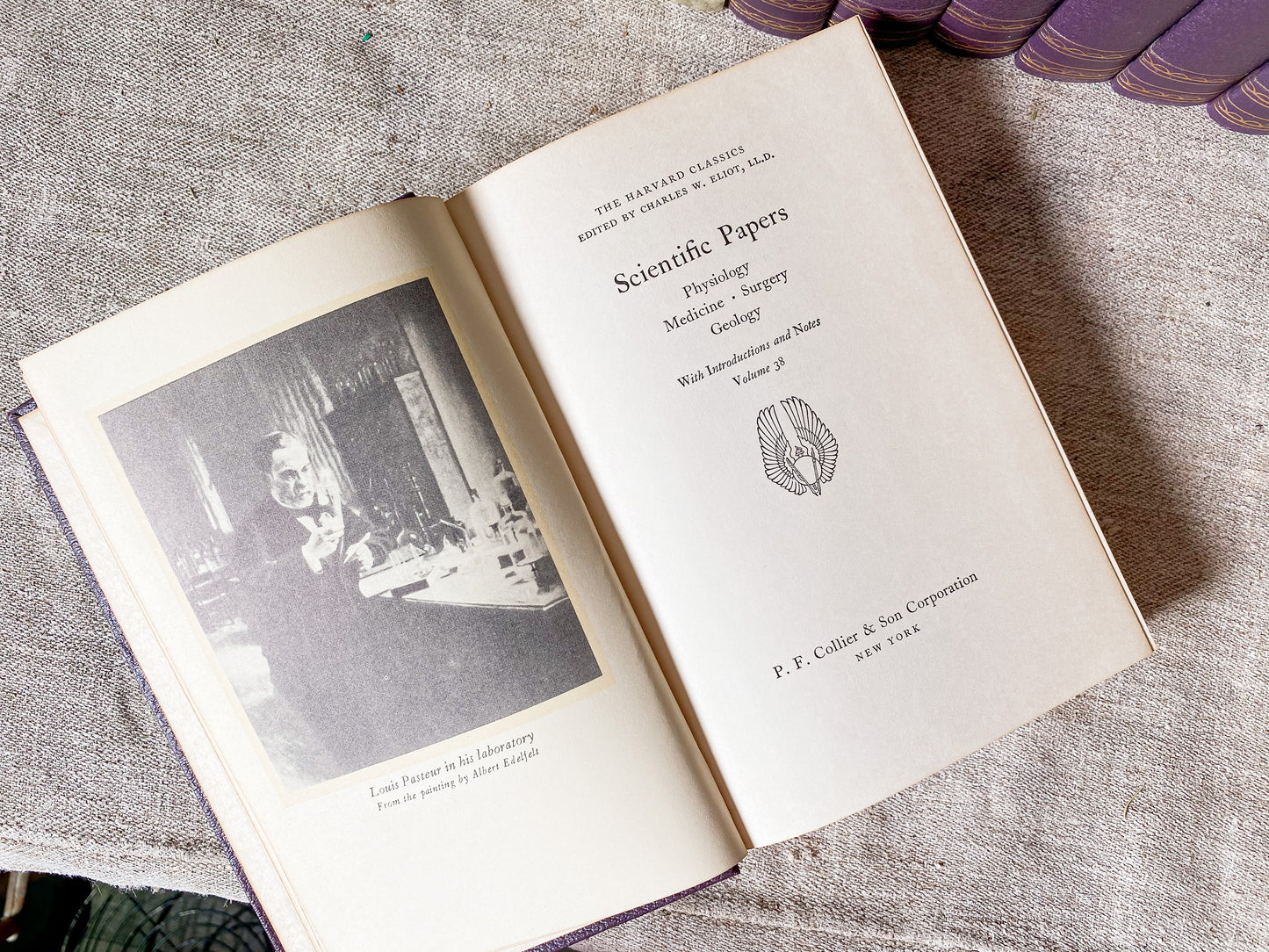 Vintage Set of 8 Purple Harvard Classics Five-Foot Shelf of Books, 1959