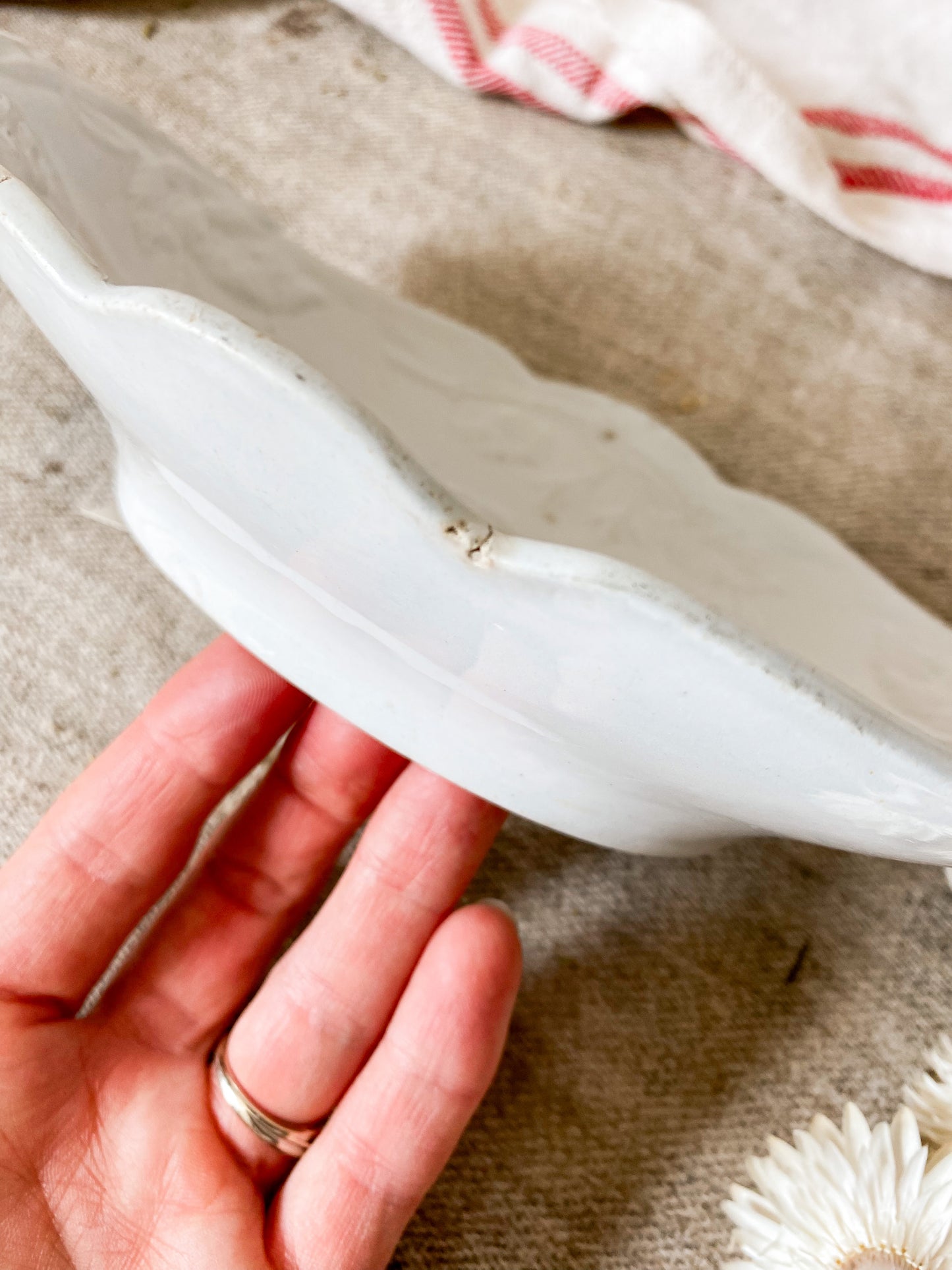 Antique Ironstone Relish Dish | Fuschia Pattern by J & G Meakin, c1870