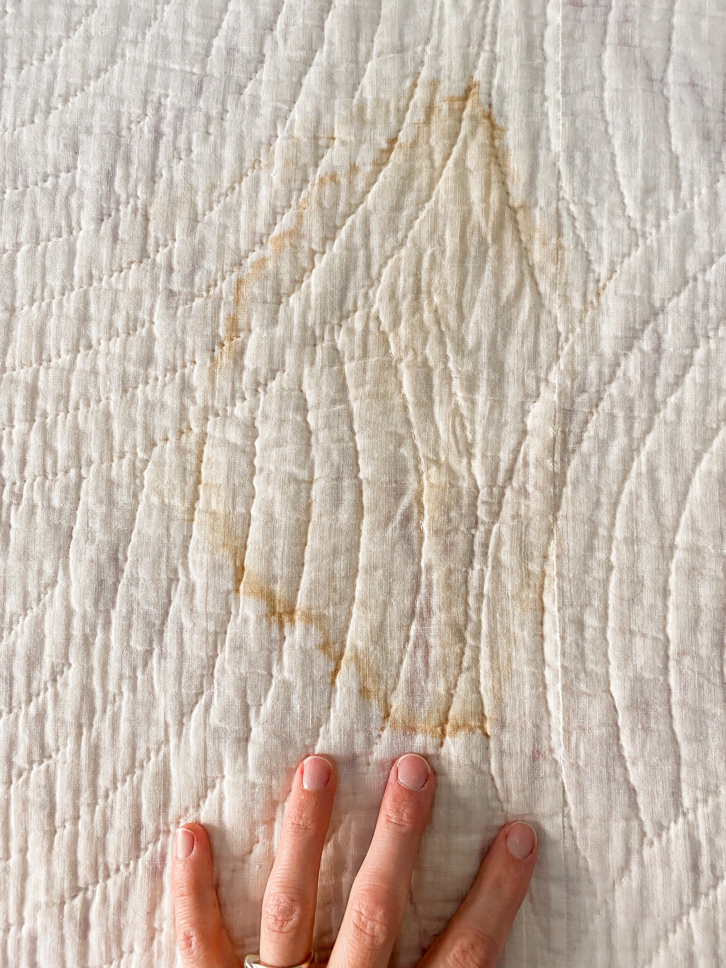 Antique Churn Dash Inside Garden Maze Quilt