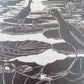 Set of 3 Vintage Wood Block Bird Prints - Panama-Canal Zone