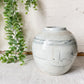 Antique Chinese Stoneware 5" Chinoiserie Ginger Jar