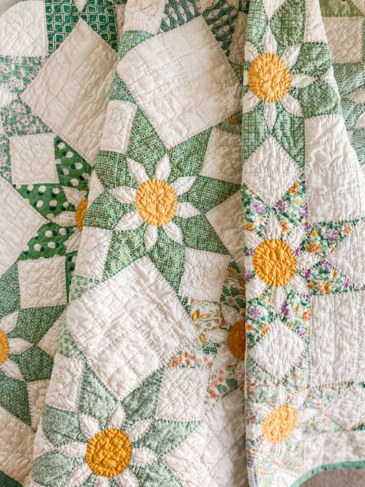 Vintage Green & Yellow Missouri Daisy Quilt, c1930