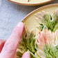 Set of 4 Vintage German Majolica Leaf Plates