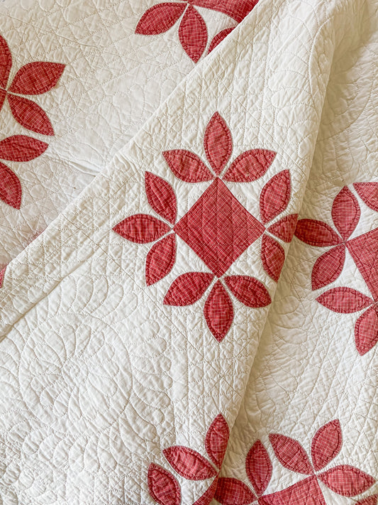 Antique 1920s Red and White Honeybee Quilt